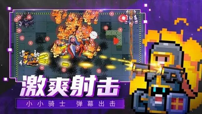 元气骑士破解版池鸳修改器截图2