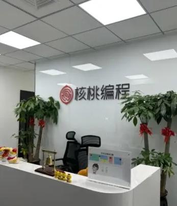 核桃编程营是什么