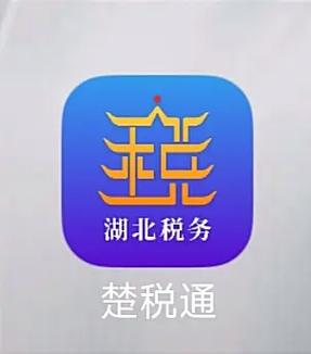 楚税通电子税务app官方下载最新版
