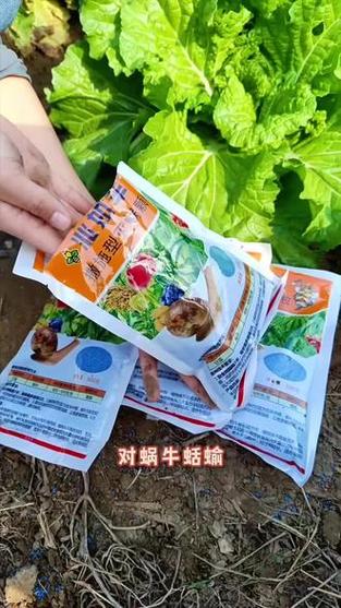 杀蜗牛最有效的农药