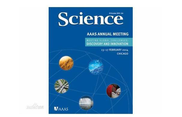 science期刊中文版