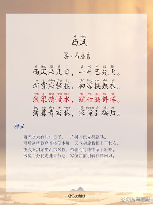 西风小说安卓版
