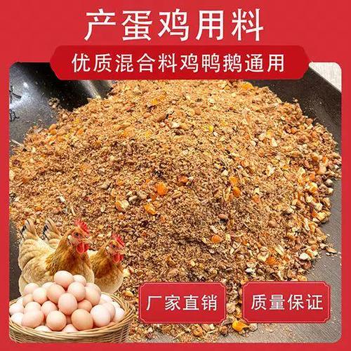 下蛋鸡的饲料