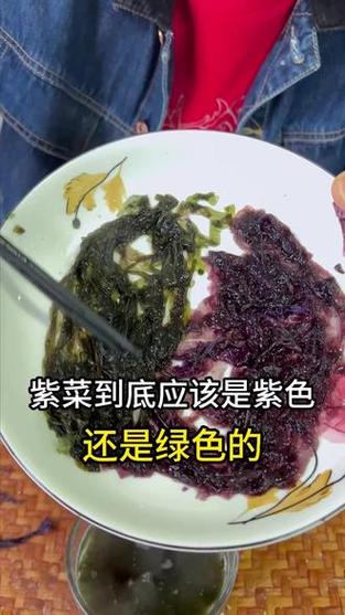 什么颜色的紫菜比较好