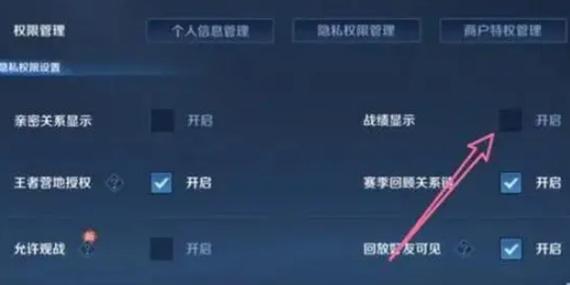 王者荣耀暂时无法查看战绩