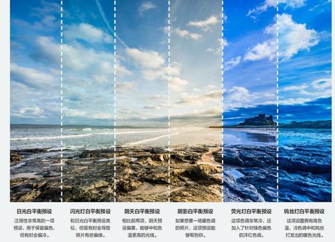 ps白平衡在哪里调