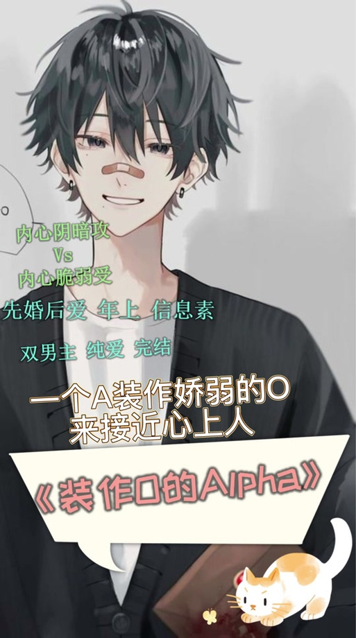 装alpha