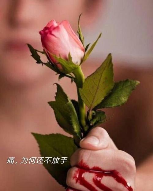 扎心的痛图片 扎心的痛图片