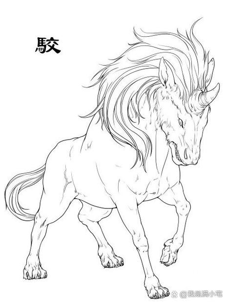 《异兽之无限进化》