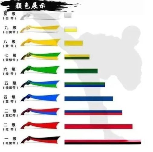 红带考黑带晋级费是多少
