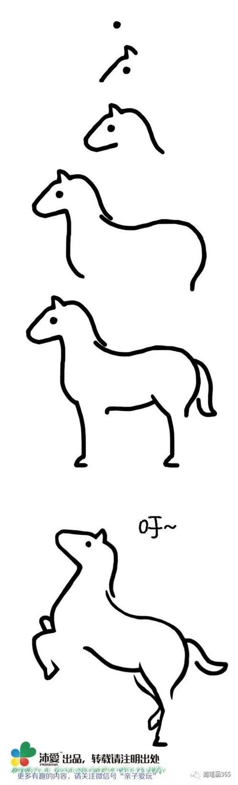 画马的视频大全