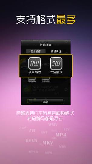 moliplayer tv版