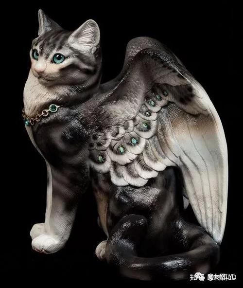 飞天猫图片