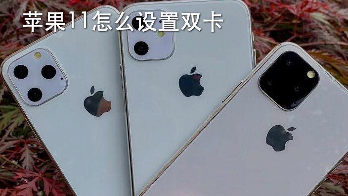 苹果手机11怎么上双卡