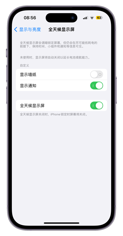 苹果13有全天候显示屏吗