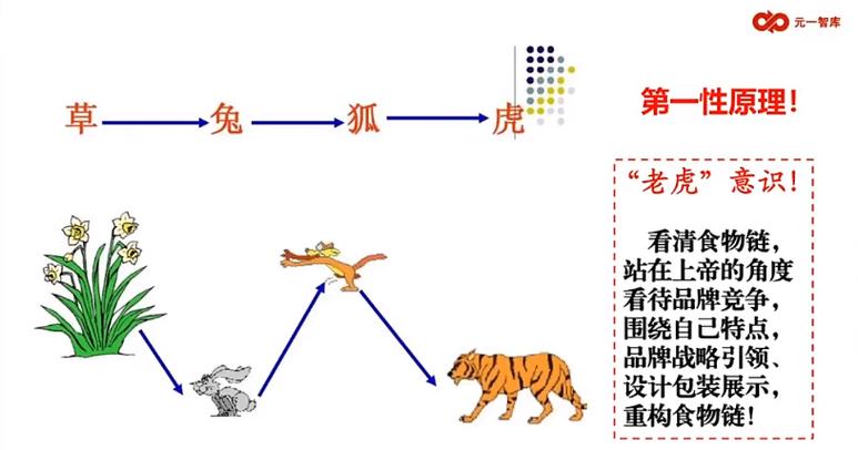 在草兔狼虎这条食物链中虎属于什么