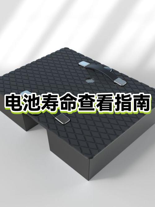 查看电池寿命的方法