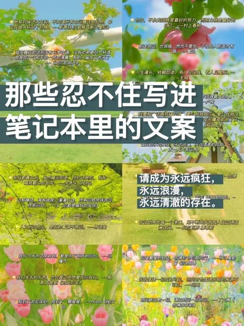 推荐自己的广告文案