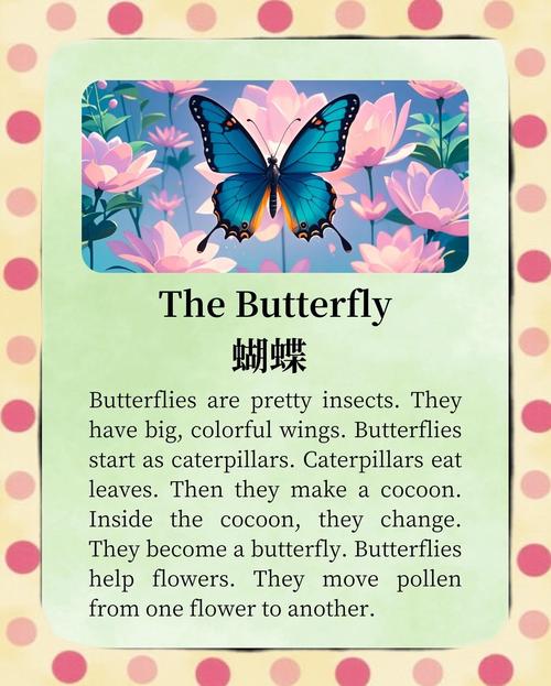 大家一起来英文版butterfly