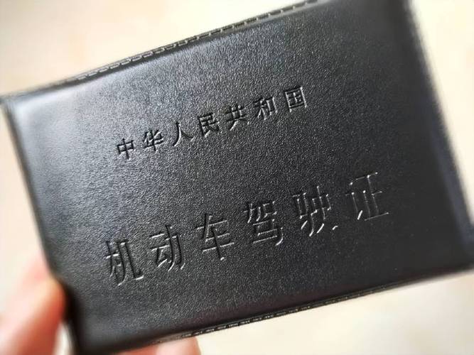 驾驶证5238如何解决