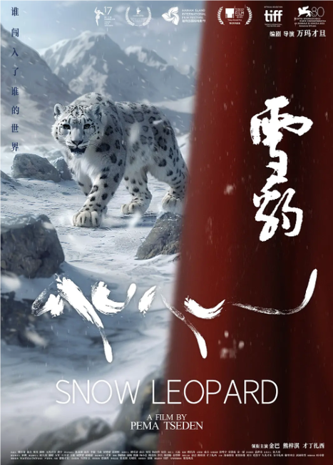 雪豹影视
