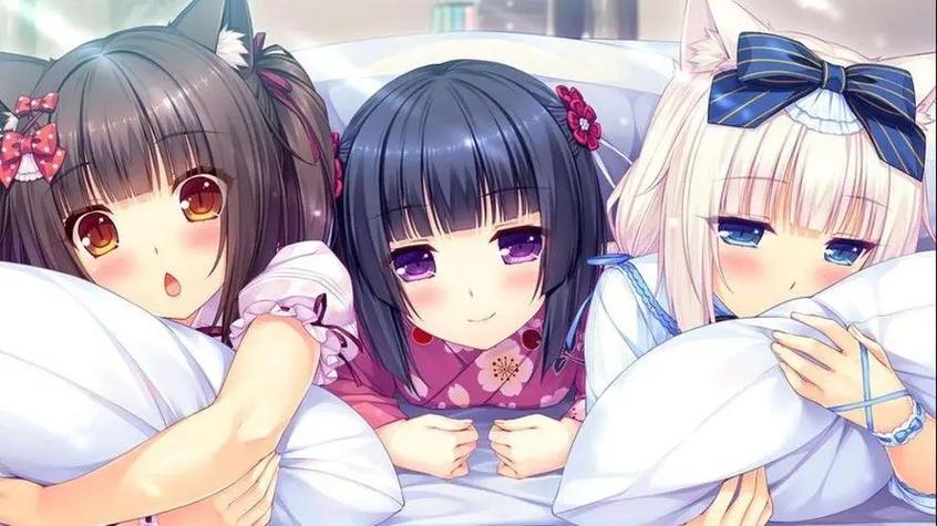 6niu繁星汉化组移植