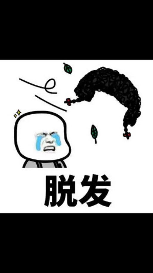 秃崽表情包使用方法