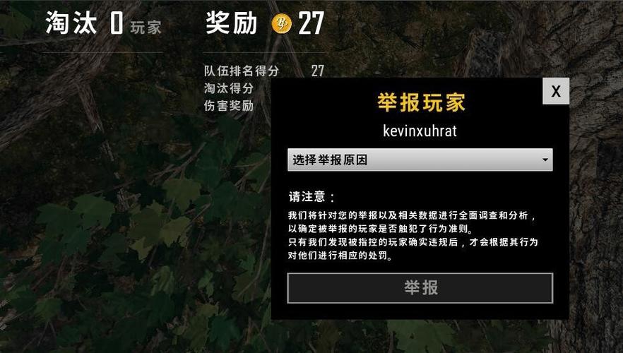 吃鸡怎么举报队友