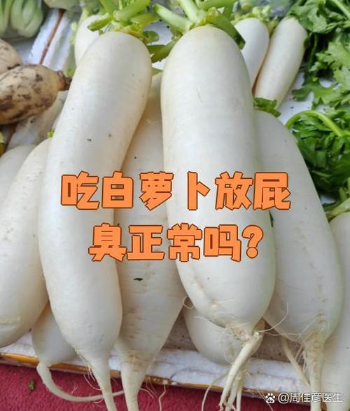 萝卜吃多了放屁的利弊