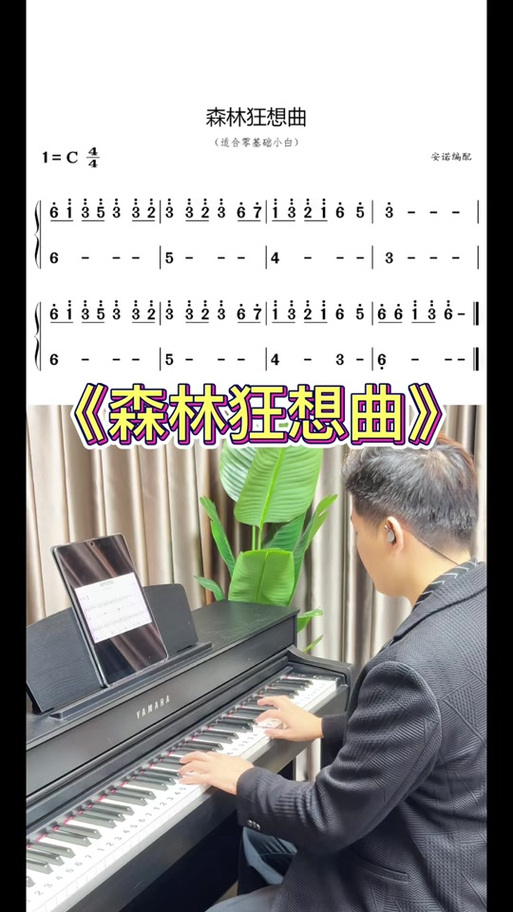 森林狂想曲钢琴曲