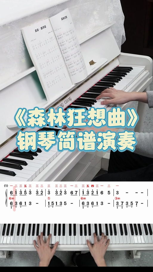 森林狂想曲钢琴曲截图3