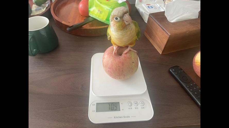 体重秤误差多少