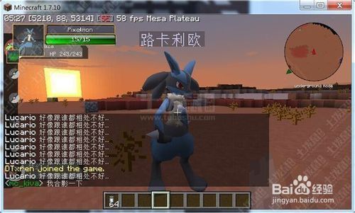minecraft宝贝龙