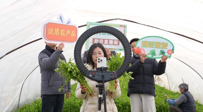 高端有机蔬菜电商平台