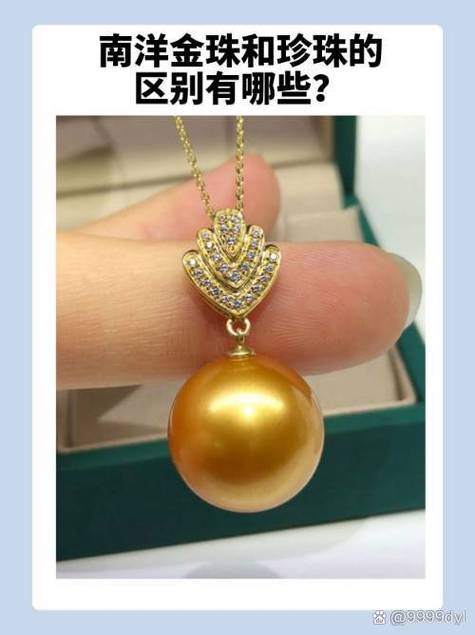 价值200万的珍珠截图2