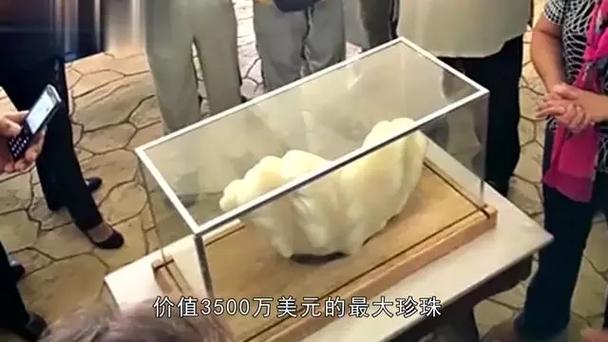 价值200万的珍珠截图3