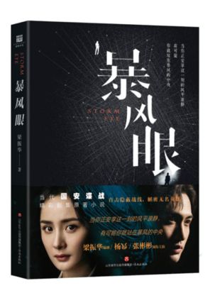 暴风眼梁振华全文阅读