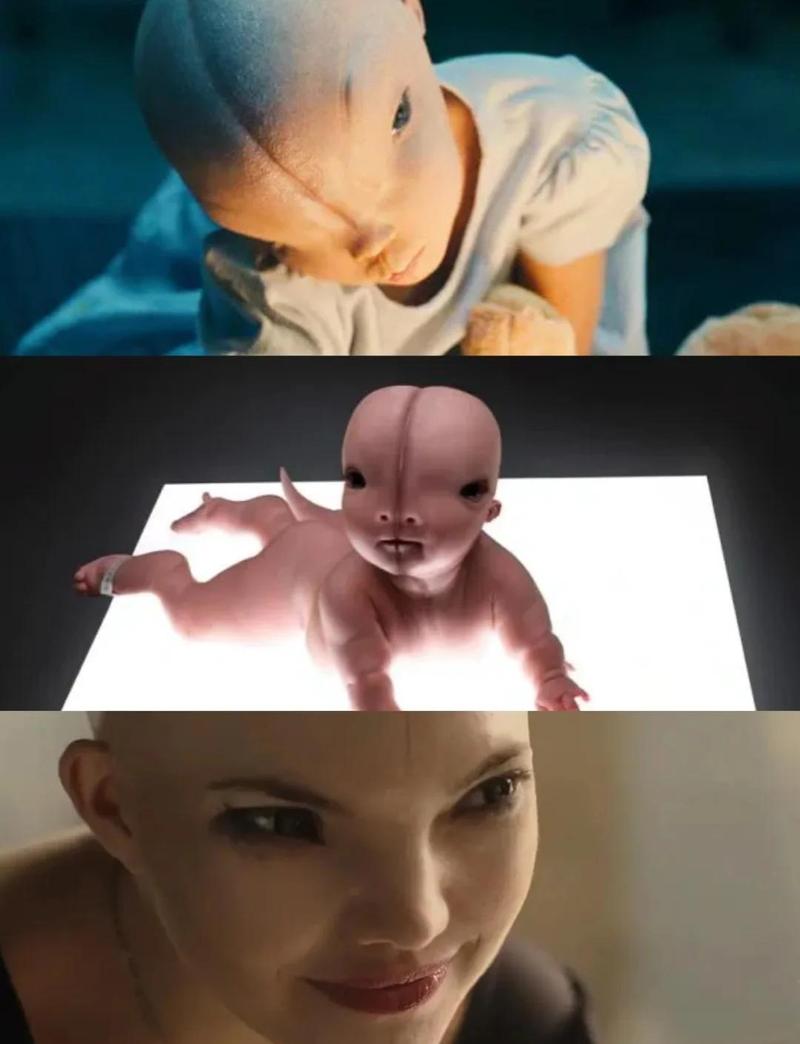 人工进化无剪辑百度云