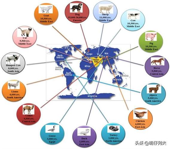 人类驯化的38种动物排序