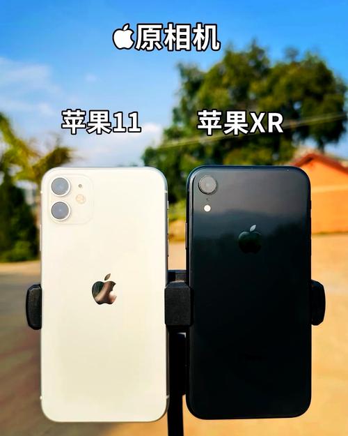 iPhone11摄像头有蓝光