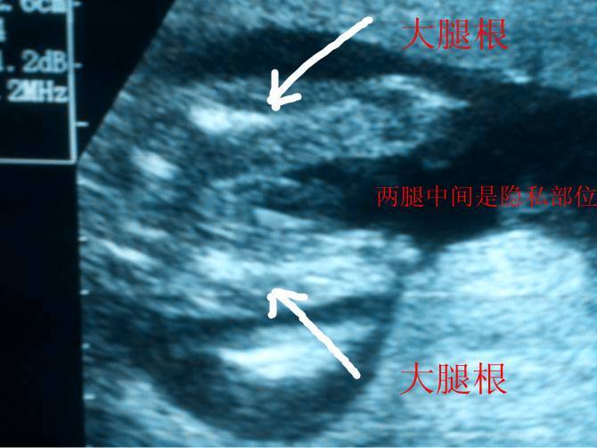 女翻男的几率大吗