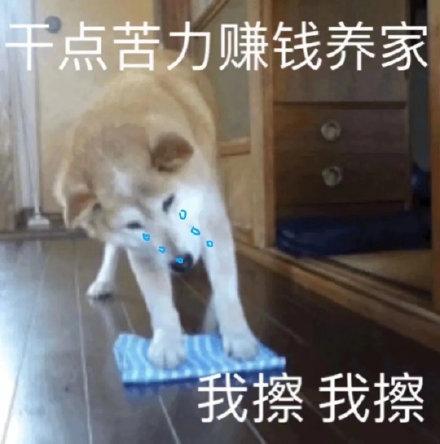 辛苦赚钱为养家