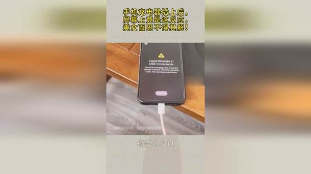 手机充电器插上手机后屏幕乱跳