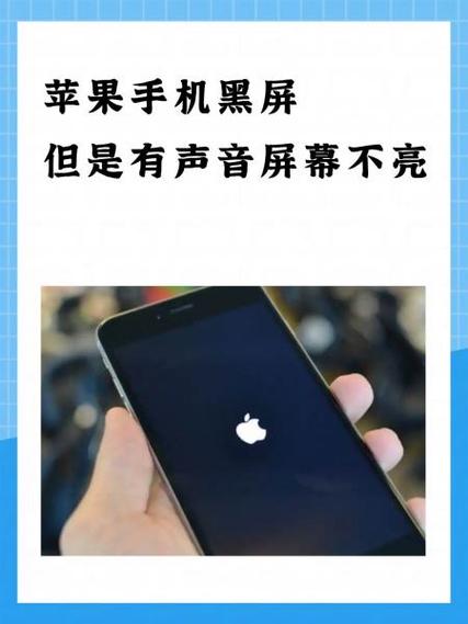 苹果11手机突然黑屏不动了