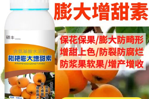 枇杷果实膨大用什么药