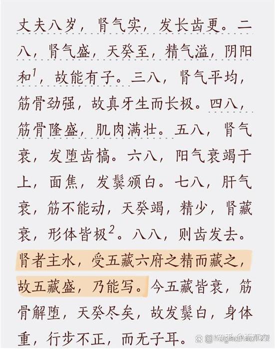 黄帝内经原文完整版