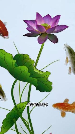 鱼戏荷塘龙点水的含义截图2