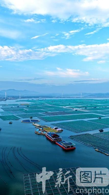 中国海洋牧场