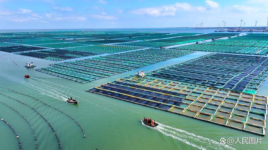 中国海洋牧场截图2