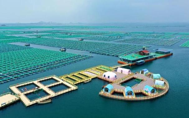 中国海洋牧场截图3